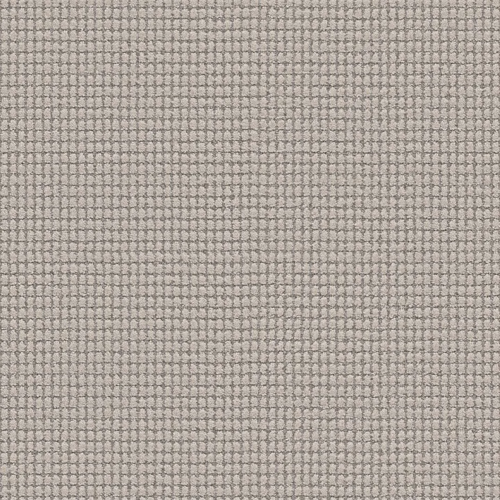 Anderson Tuftex Rhode — Morning Dew · ZZ366-00555 — flooring selection with LeviArs Design & Remodeling