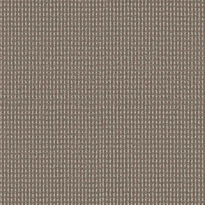 Anderson Tuftex Rhode — Riverbank · ZZ366-00755 — flooring selection with LeviArs Design & Remodeling