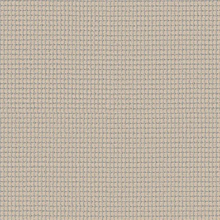 Anderson Tuftex Rhode — Sand Bar · ZZ366-00143 — flooring selection with LeviArs Design & Remodeling