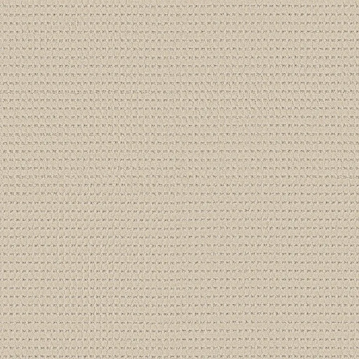 Anderson Tuftex Rhode — Sunkissed · ZZ366-00111 — flooring selection with LeviArs Design & Remodeling