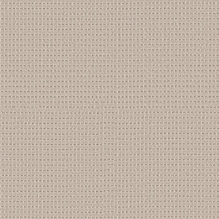 Anderson Tuftex Rhode — Toasted Almond · ZZ366-00151 — flooring selection with LeviArs Design & Remodeling