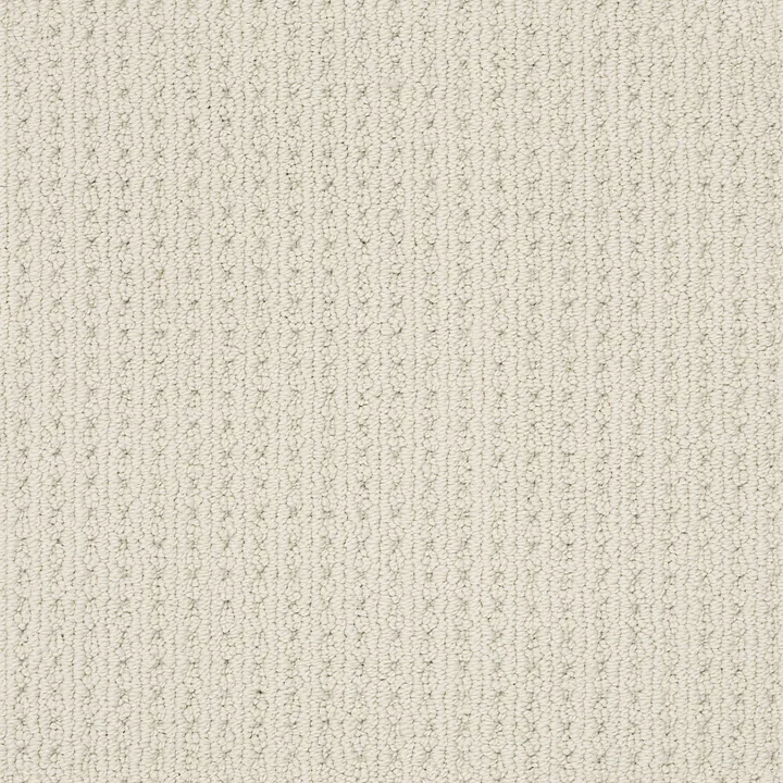 Anderson Tuftex San Lucas — Aged White · ZZ095-00112 — flooring selection with LeviArs Design & Remodeling