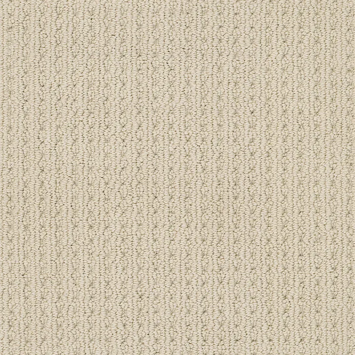 Anderson Tuftex San Lucas — Beach Haven · ZZ095-00124 — flooring selection with LeviArs Design & Remodeling