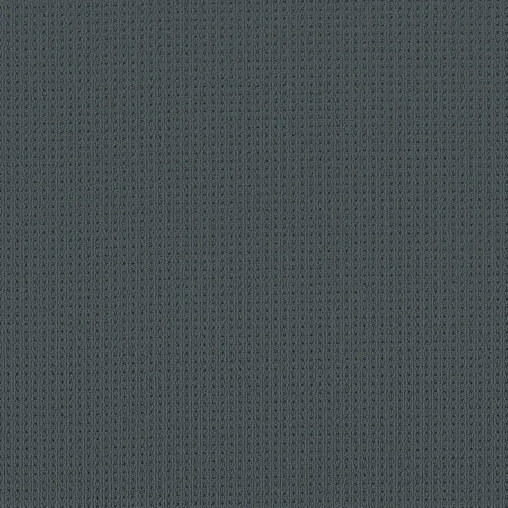 Anderson Tuftex San Lucas — Blustery Sky · ZZ095-00447 — flooring selection with LeviArs Design & Remodeling