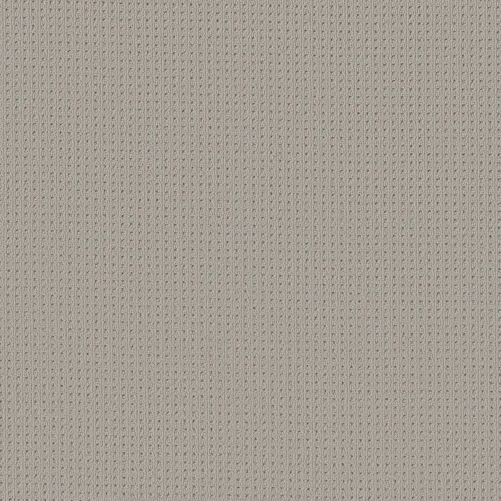 Anderson Tuftex San Lucas — Classic · ZZ095-00571 — flooring selection with LeviArs Design & Remodeling