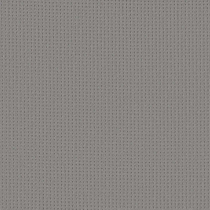 Anderson Tuftex San Lucas — Essential · ZZ095-00554 — flooring selection with LeviArs Design & Remodeling