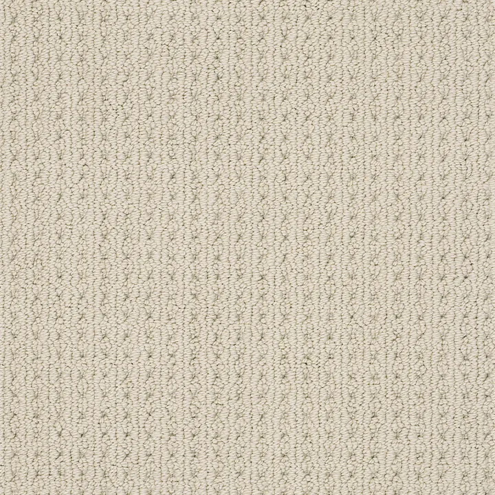 Anderson Tuftex San Lucas — Fleece · ZZ095-00115 — flooring selection with LeviArs Design & Remodeling