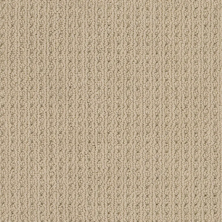 Anderson Tuftex San Lucas — Golden · ZZ095-00127 — flooring selection with LeviArs Design & Remodeling