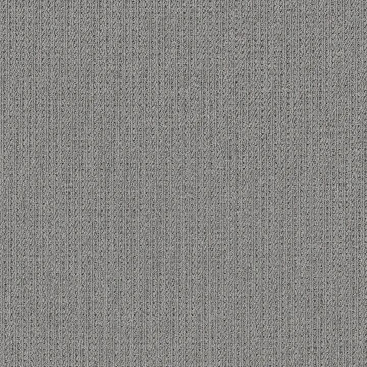 Anderson Tuftex San Lucas — Half Moon · ZZ095-00544 — flooring selection with LeviArs Design & Remodeling