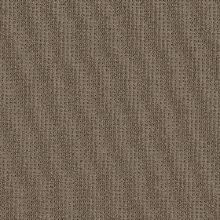 Anderson Tuftex San Lucas — Homestead · ZZ095-00777 — flooring selection with LeviArs Design & Remodeling