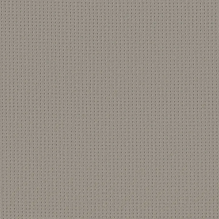 Anderson Tuftex San Lucas — Huskie · ZZ095-00573 — flooring selection with LeviArs Design & Remodeling