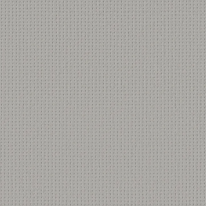 Anderson Tuftex San Lucas — Lullaby · ZZ095-00540 — flooring selection with LeviArs Design & Remodeling