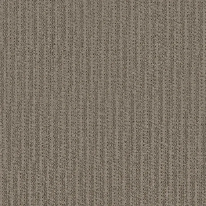Anderson Tuftex San Lucas — Pewter · ZZ095-00577 — flooring selection with LeviArs Design & Remodeling