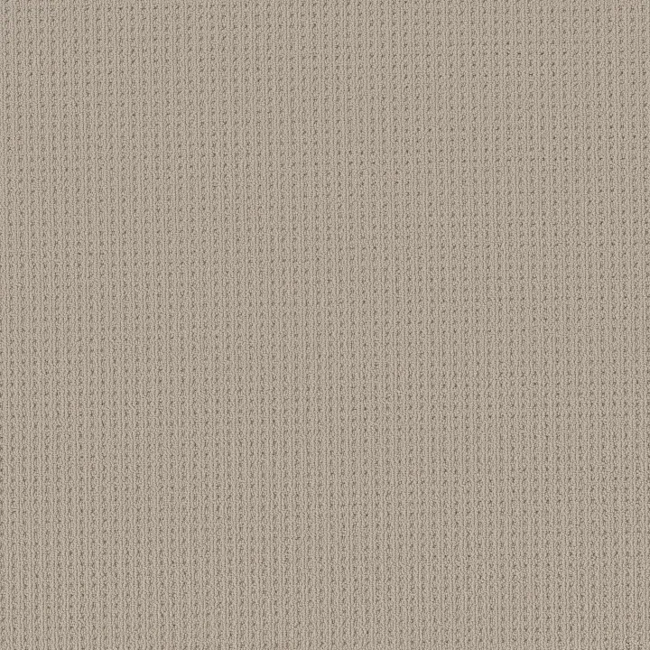 Anderson Tuftex San Lucas — Plymouth · ZZ095-00772 — flooring selection with LeviArs Design & Remodeling