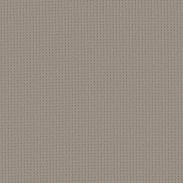 Anderson Tuftex San Lucas — Portico · ZZ095-00172 — flooring selection with LeviArs Design & Remodeling