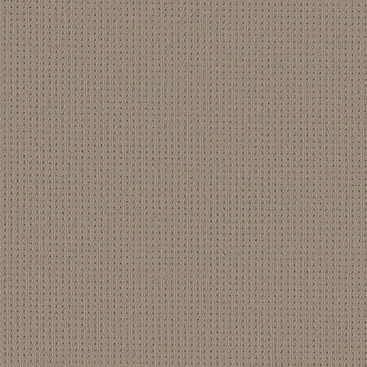 Anderson Tuftex San Lucas — Rockport · ZZ095-00774 — flooring selection with LeviArs Design & Remodeling