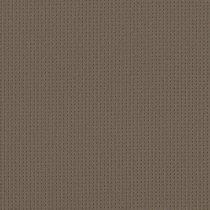 Anderson Tuftex San Lucas — Shingle · ZZ095-00758 — flooring selection with LeviArs Design & Remodeling