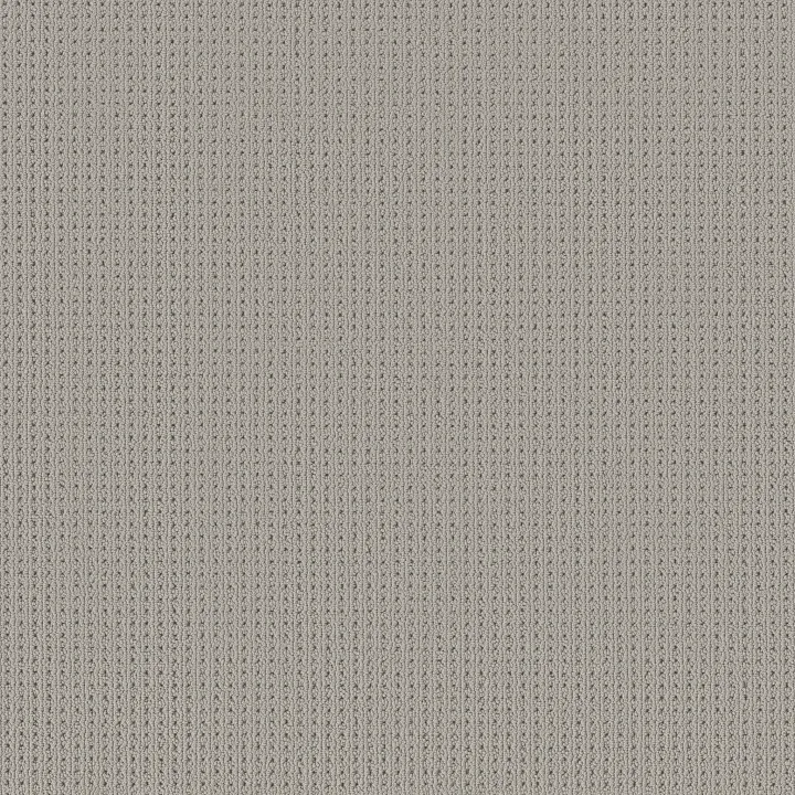 Anderson Tuftex San Lucas — Silverplate · ZZ095-00552 — flooring selection with LeviArs Design & Remodeling