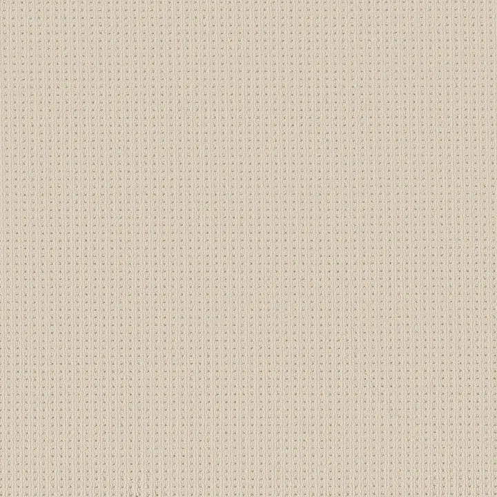 Anderson Tuftex San Lucas — Sparkling · ZZ095-00121 — flooring selection with LeviArs Design & Remodeling