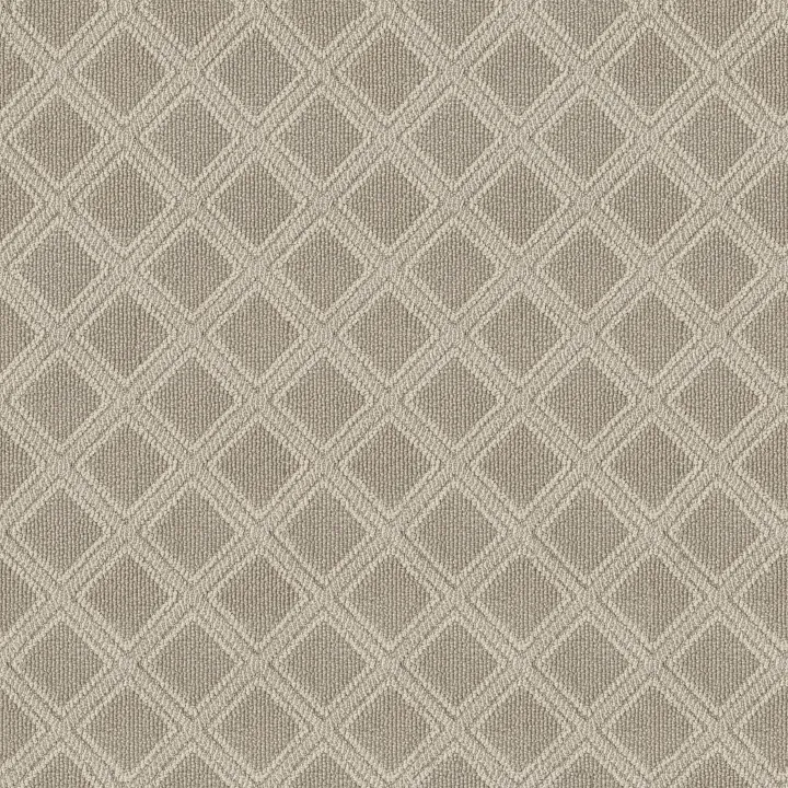 Anderson Tuftex Scout — Birch · ZZ073-00111 — flooring selection with LeviArs Design & Remodeling