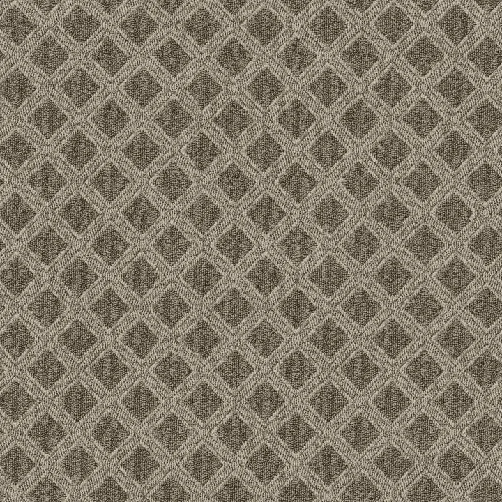 Anderson Tuftex Scout — Desert Palm · ZZ073-00717 — flooring selection with LeviArs Design & Remodeling