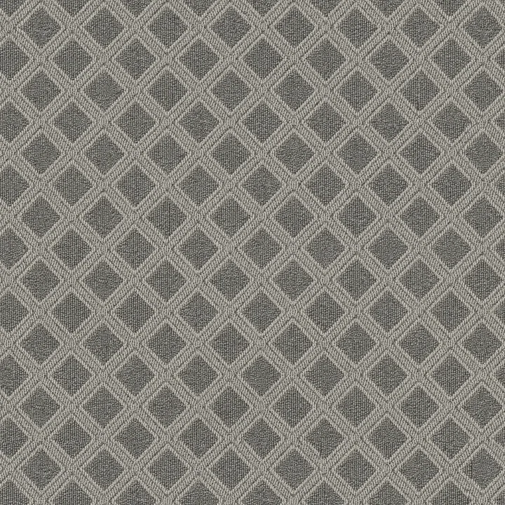 Anderson Tuftex Scout — Monument · ZZ073-00556 — flooring selection with LeviArs Design & Remodeling