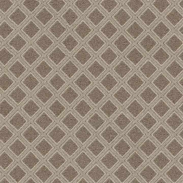 Anderson Tuftex Scout — Russet · ZZ073-00614 — flooring selection with LeviArs Design & Remodeling
