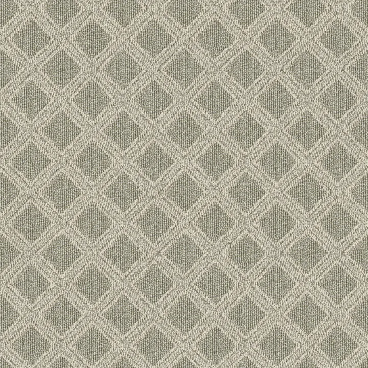 Anderson Tuftex Scout — Soft Fern · ZZ073-00312 — flooring selection with LeviArs Design & Remodeling