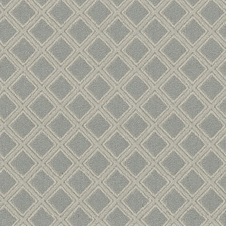 Anderson Tuftex Scout — Surf Spray · ZZ073-00412 — flooring selection with LeviArs Design & Remodeling