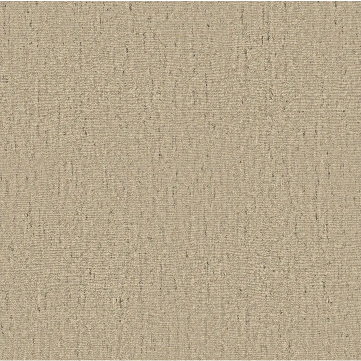 Anderson Tuftex Sensate — Aspire · ZZ345-00101 — flooring selection with LeviArs Design & Remodeling