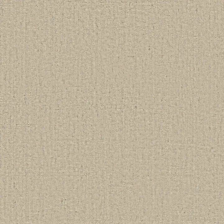 Anderson Tuftex Sensate — Whisper · ZZ345-00100 — flooring selection with LeviArs Design & Remodeling