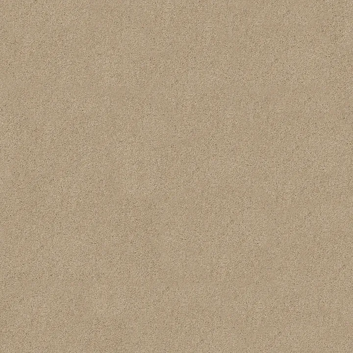 Anderson Tuftex Serendipity I — Chic Cream · Z6814-00112 — flooring selection with LeviArs Design & Remodeling