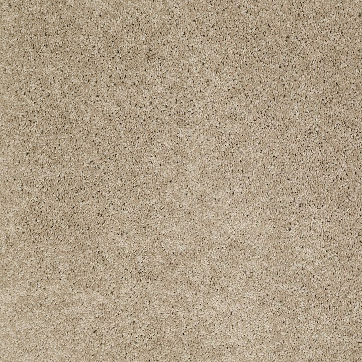 Anderson Tuftex Serendipity I — Oyster · Z6814-00513 — flooring selection with LeviArs Design & Remodeling