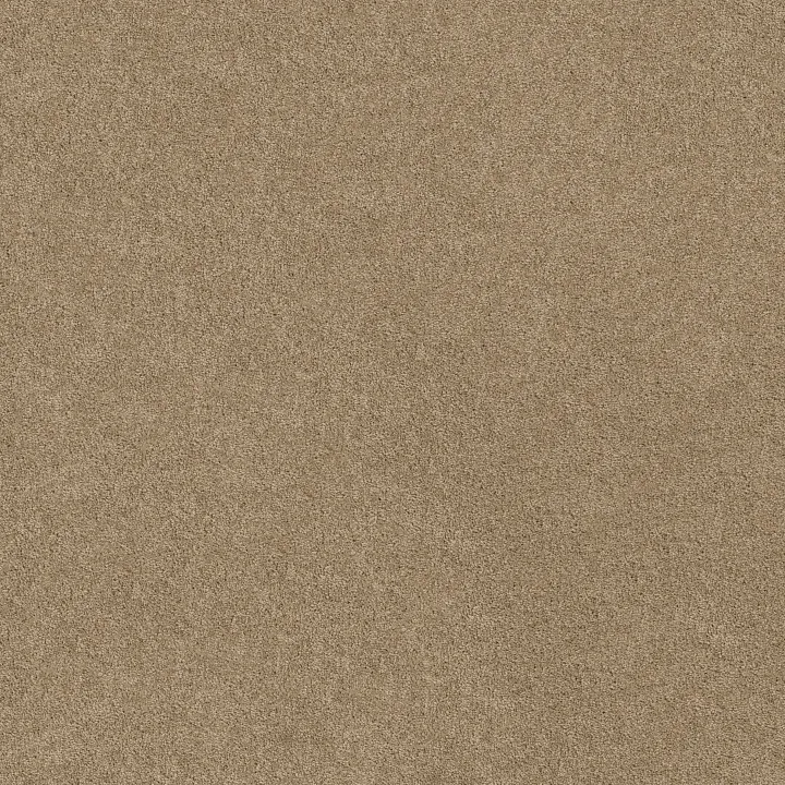 Anderson Tuftex Serendipity I — Sandcastle · Z6814-00113 — flooring selection with LeviArs Design & Remodeling