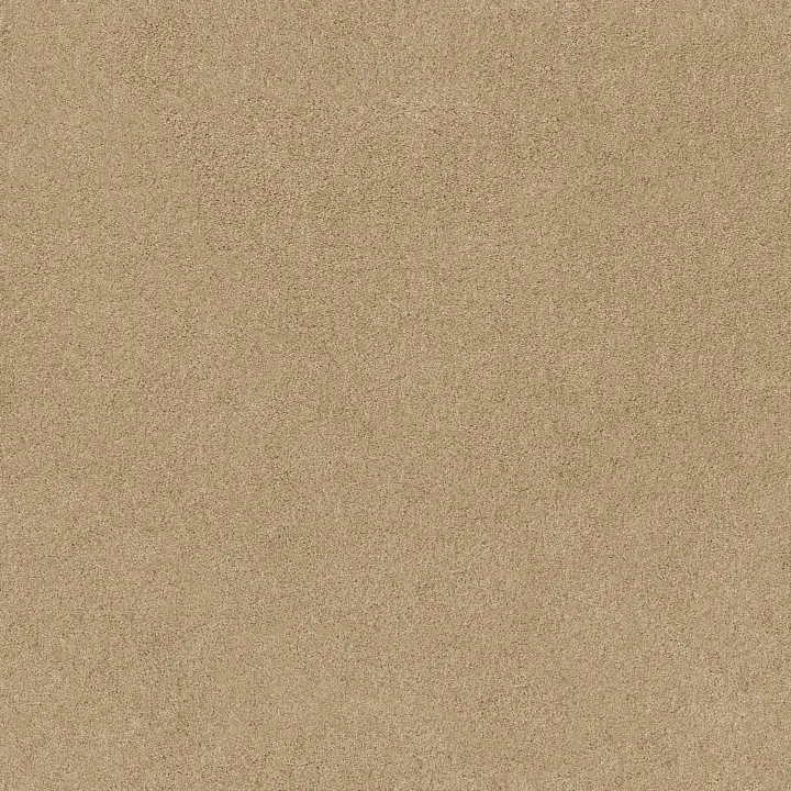 Anderson Tuftex Serendipity I — Semolina · Z6814-00212 — flooring selection with LeviArs Design & Remodeling