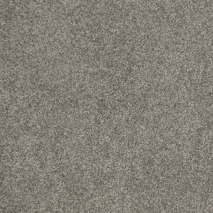 Anderson Tuftex Serendipity I — Titanium · Z6814-00544 — flooring selection with LeviArs Design & Remodeling