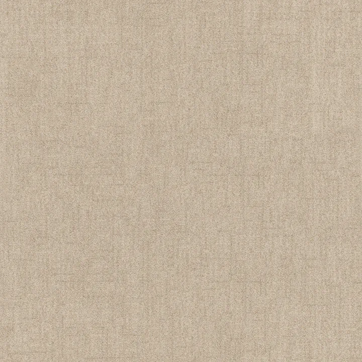 Anderson Tuftex Silhouette — Ecru · ZZ392-00103 — flooring selection with LeviArs Design & Remodeling