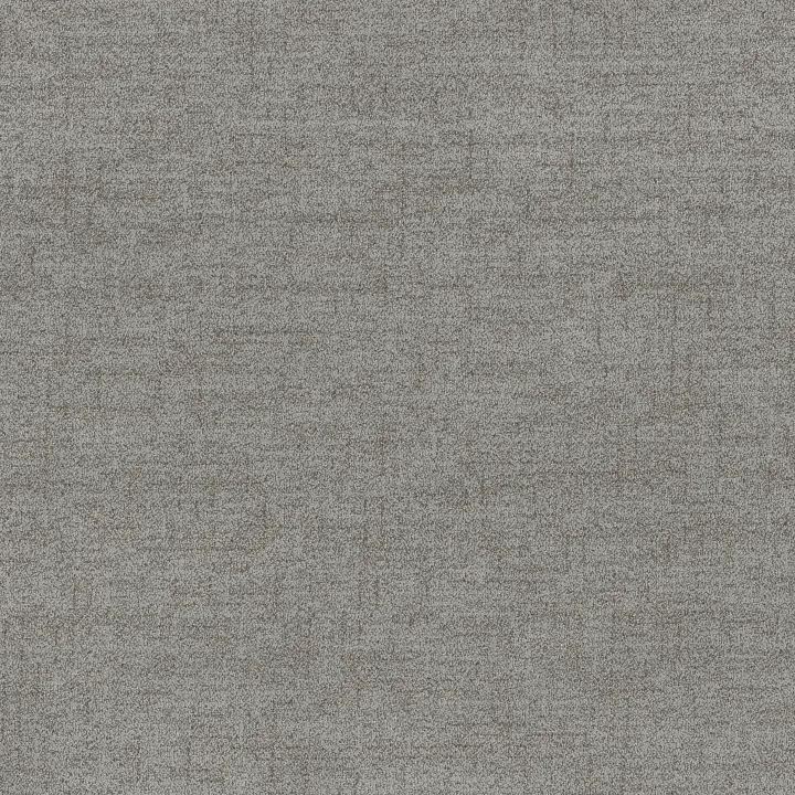 Anderson Tuftex Silhouette — Glacier · ZZ392-00400 — flooring selection with LeviArs Design & Remodeling