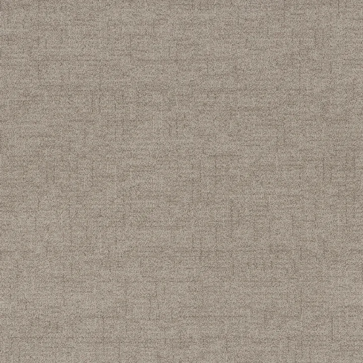 Anderson Tuftex Silhouette — Mushroom · ZZ392-00106 — flooring selection with LeviArs Design & Remodeling