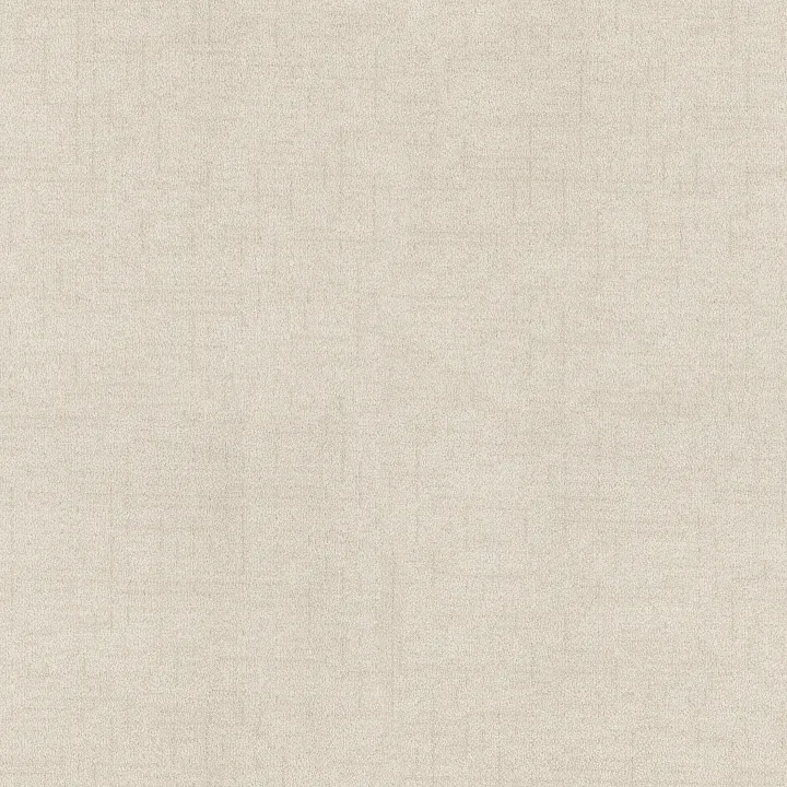 Anderson Tuftex Silhouette — Oat Milk · ZZ392-00101 — flooring selection with LeviArs Design & Remodeling