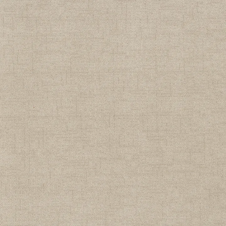 Anderson Tuftex Silhouette — Parchment · ZZ392-00102 — flooring selection with LeviArs Design & Remodeling