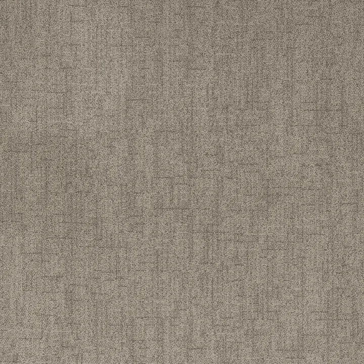 Anderson Tuftex Silhouette — Taupe Haze · ZZ392-00107 — flooring selection with LeviArs Design & Remodeling