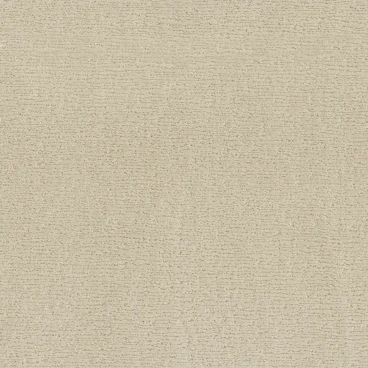 Anderson Tuftex Sketch — Almond Milk · ZZ077-00101 — flooring selection with LeviArs Design & Remodeling