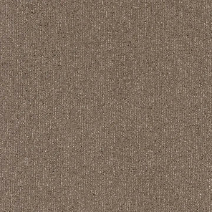 Anderson Tuftex Sneak Peek — Caffeine · ZZ260-00775 — flooring selection with LeviArs Design & Remodeling