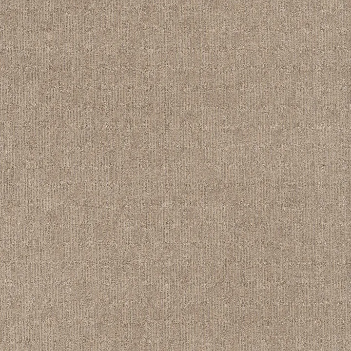 Anderson Tuftex Sneak Peek — Canyon Dust · ZZ260-00173 — flooring selection with LeviArs Design & Remodeling
