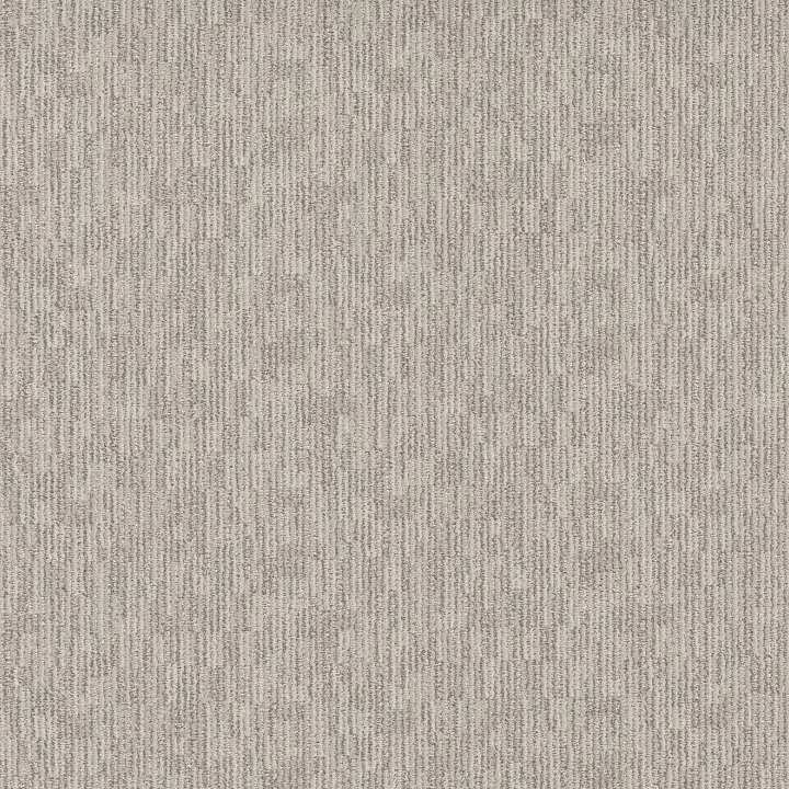 Anderson Tuftex Sneak Peek — Coconut Ice · ZZ260-00171 — flooring selection with LeviArs Design & Remodeling