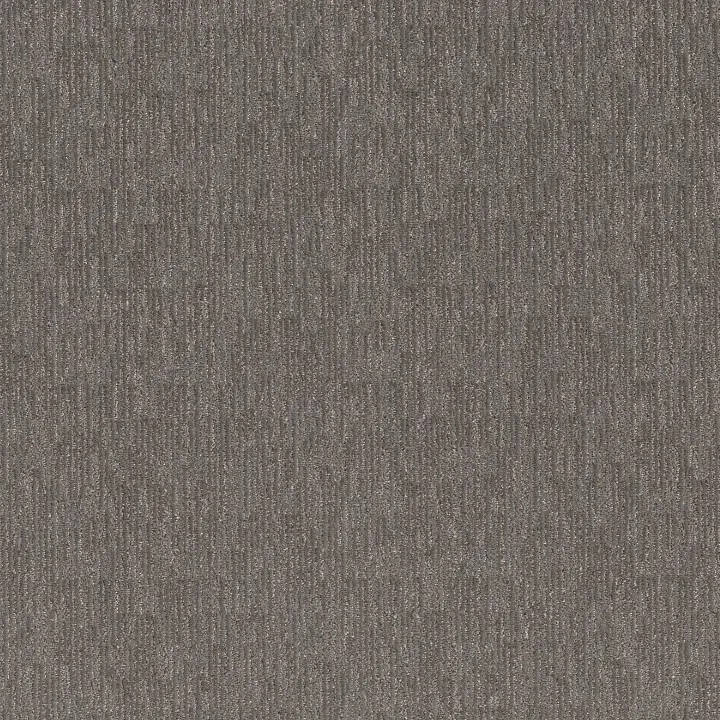 Anderson Tuftex Sneak Peek — Magnetic · ZZ260-00556 — flooring selection with LeviArs Design & Remodeling