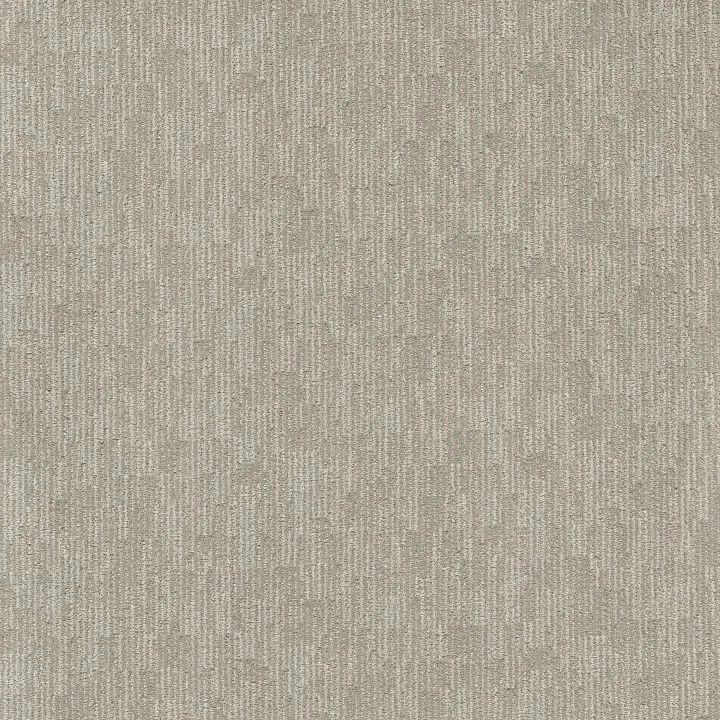 Anderson Tuftex Sneak Peek — Morning Zen · ZZ260-00313 — flooring selection with LeviArs Design & Remodeling