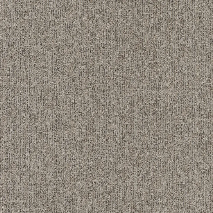 Anderson Tuftex Sneak Peek — Nightingale · ZZ260-00572 — flooring selection with LeviArs Design & Remodeling