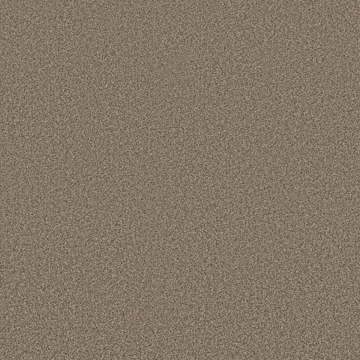 Anderson Tuftex Somerset — Chic Taupe · ZZ279-00753 — flooring selection with LeviArs Design & Remodeling